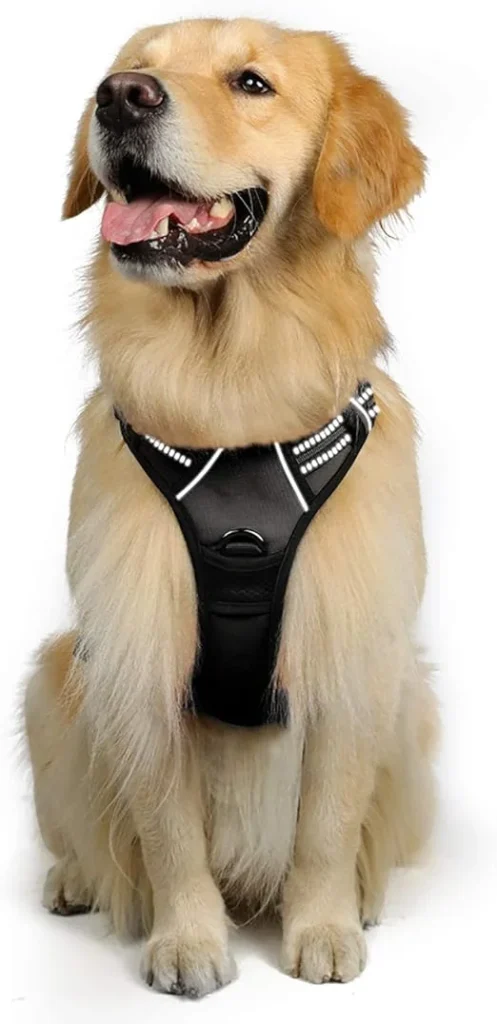 Rabbitgoo No-Pull Dog Harness for dog training, offering better control during leash training and making walks more manageable with an adjustable fit for dogs.

brainybuyz.com brainy buyz pet dog