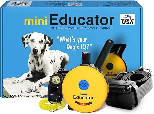 Educator E-Collar Remote Dog Training Collar, used for dog training to reinforce commands during off-leash or distance training sessions.

brainybuyz.com brainy buyz pet dog