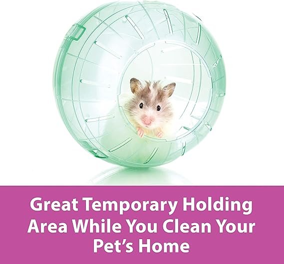 Kaytee 7-inch clear Run-About exercise ball for hamsters and gerbil. Designed to encourage healthy exercise in a secure environment, it also serves as a temporary holding area during cage cleaning. Provides interactive fun for both pets and owners. Suitable for hamsters, gerbils, and other small animals.
brainy buyz   brainybuyz.com