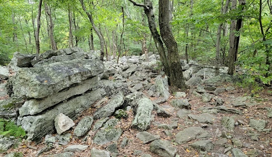 The Pinnacle Overlook – Panoramic view from The Pinnacle, one of the best places to go near me in Pennsylvania for hiking and nature photography.