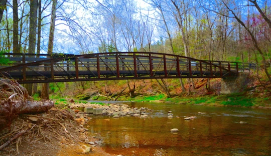 Jacobsburg Environmental Education Center Trail – Peaceful forest trail at Jacobsburg, a beginner-friendly places to go near me in Pennsylvania for hiking.