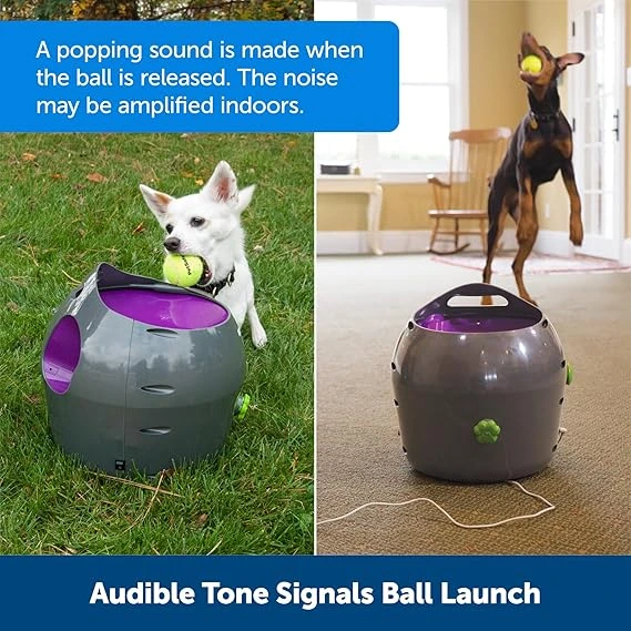 Dog chasing a ball with a big dog smile, using the PetSafe Automatic Ball Launcher.