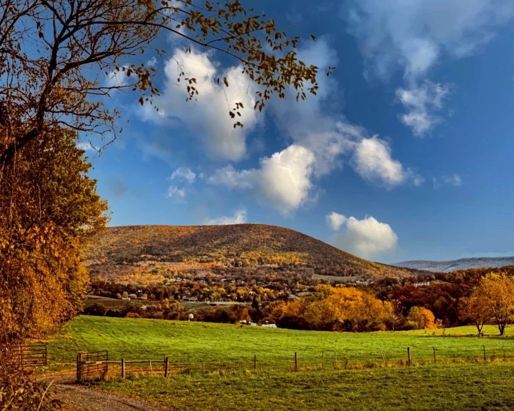 Mount Nittany Summit View – Beautiful overlook from the top of Mount Nittany, a family-friendly places to go near me in Pennsylvania for hiking