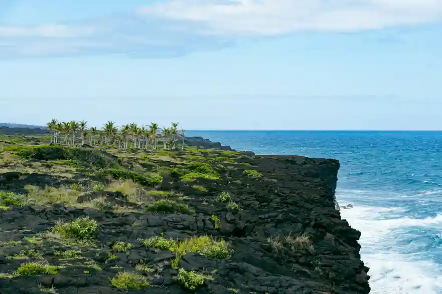 Black sand beach at Punalu'u on the Big Island, one of the most beautiful islands, featuring palm trees and volcanic rock formations