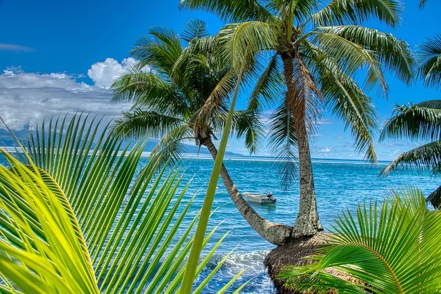 Lush mountains and cascading waterfalls in Tahiti, one of the most beautiful islands, with a black sand beach in the foreground.